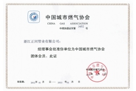中國城市燃?xì)鈪f(xié)會團(tuán)體會員